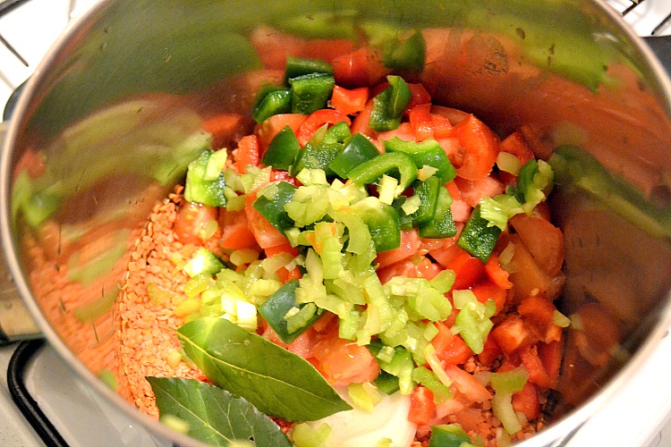 lanzarote lentil stew