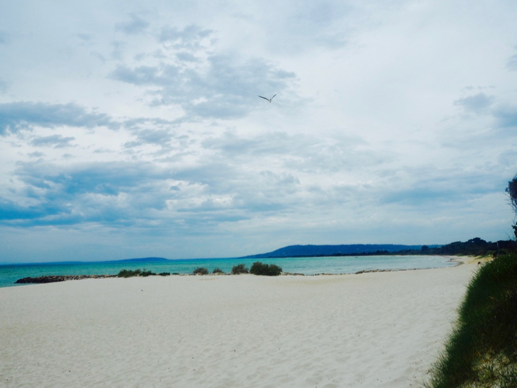 Golden sand beach and clear water at Sorrento, Mornington Peninsula