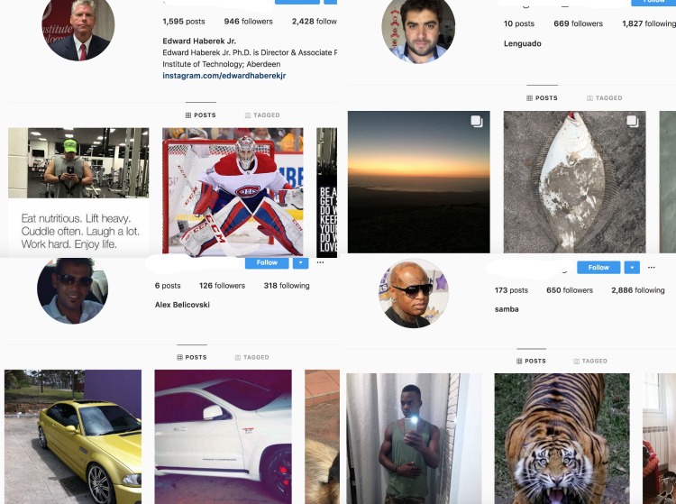 How to tell if someone follows and unfollows on Instagram