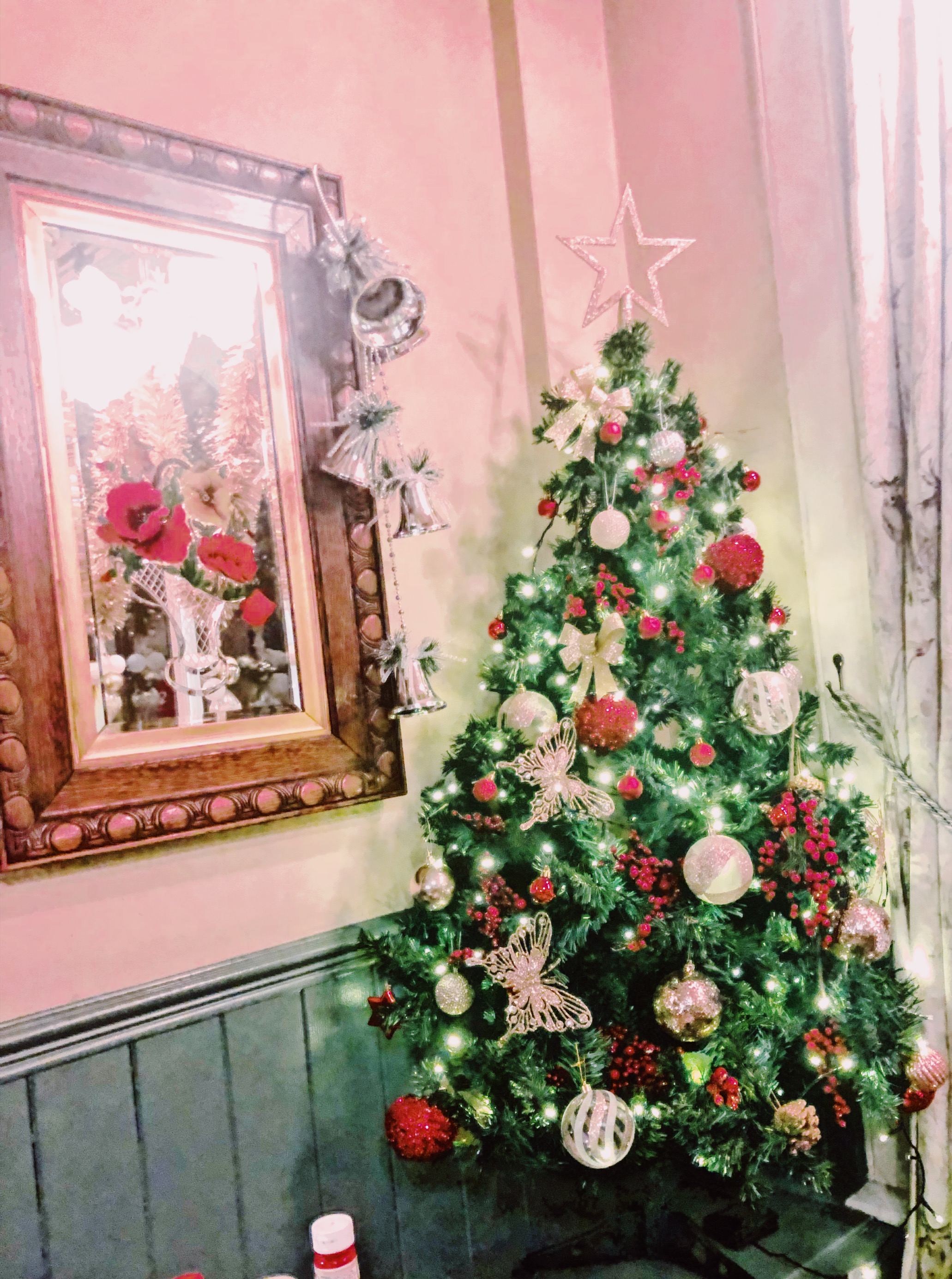 Christmas Trees of York 