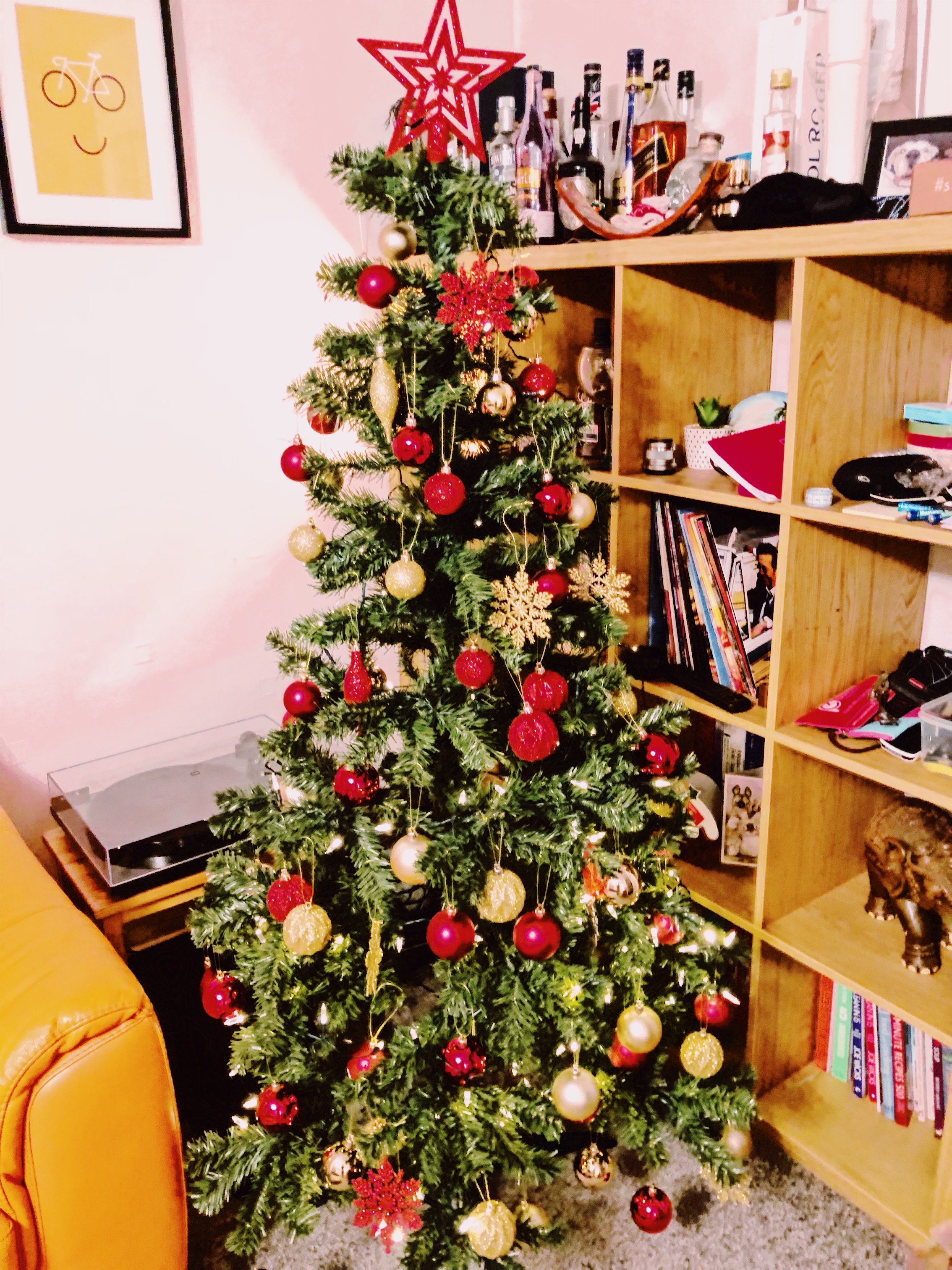 Christmas Trees of York 