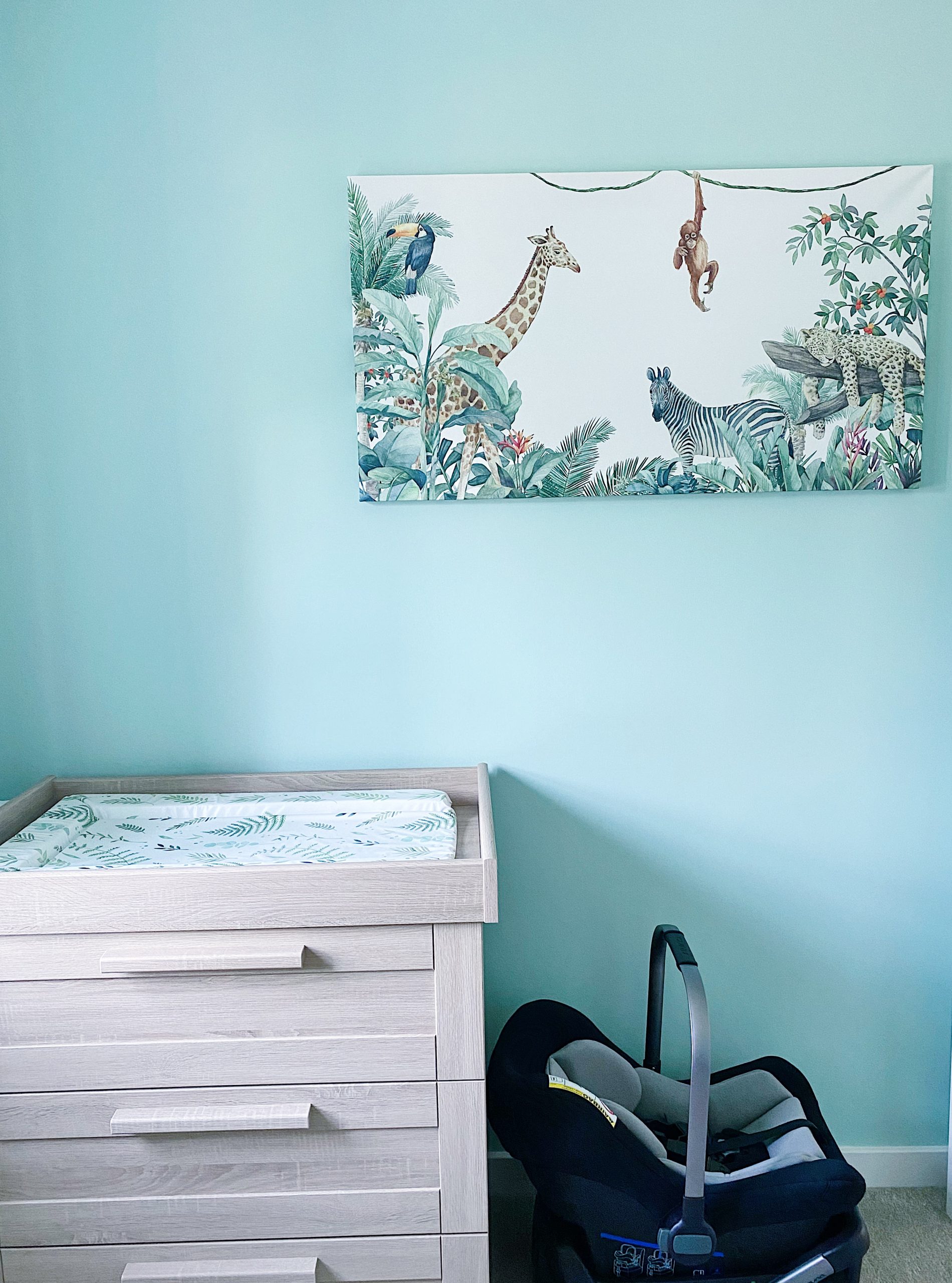 Preparing to Bring Your Baby Home&nbsp;