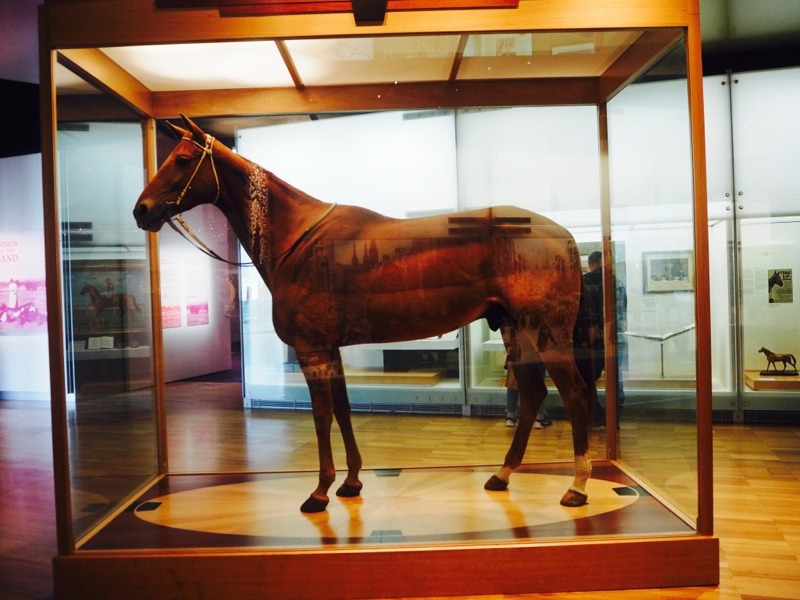 Melbourne Museum