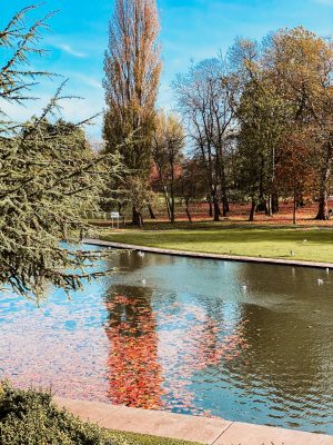 Things To Do In North Yorkshire In Autumn: My Favourite Days Out & Cosy Spots
