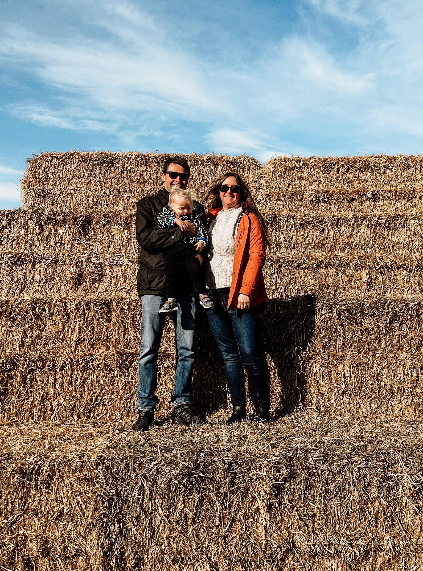 family pumpkin picking malton farm shop