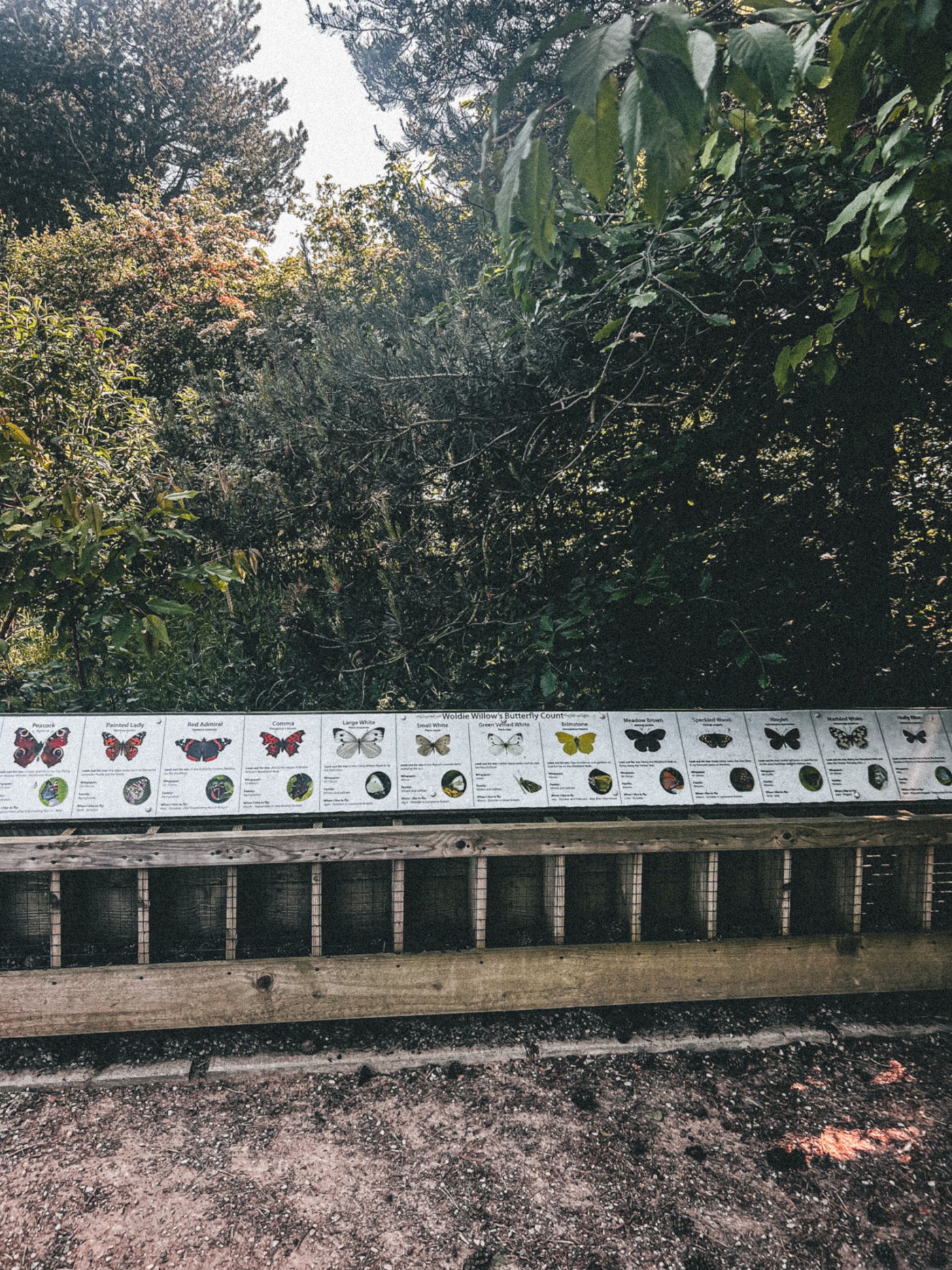 Butterfly Garden at Woldies Lavender & Nature Farm - butterfly descriptions
