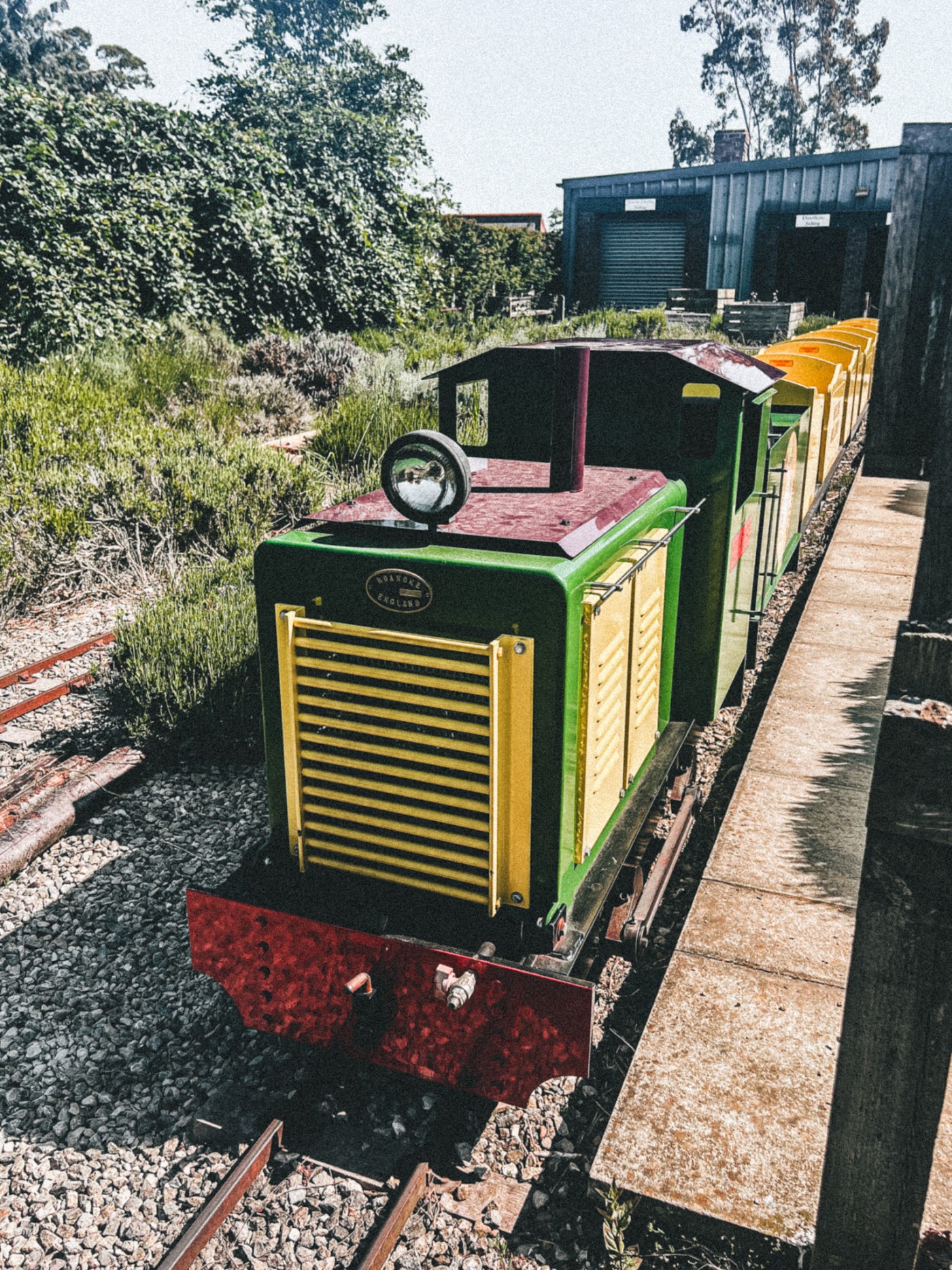 Miniture railway at Woldies Lavender & Nature Farm - mini train that children can ride on