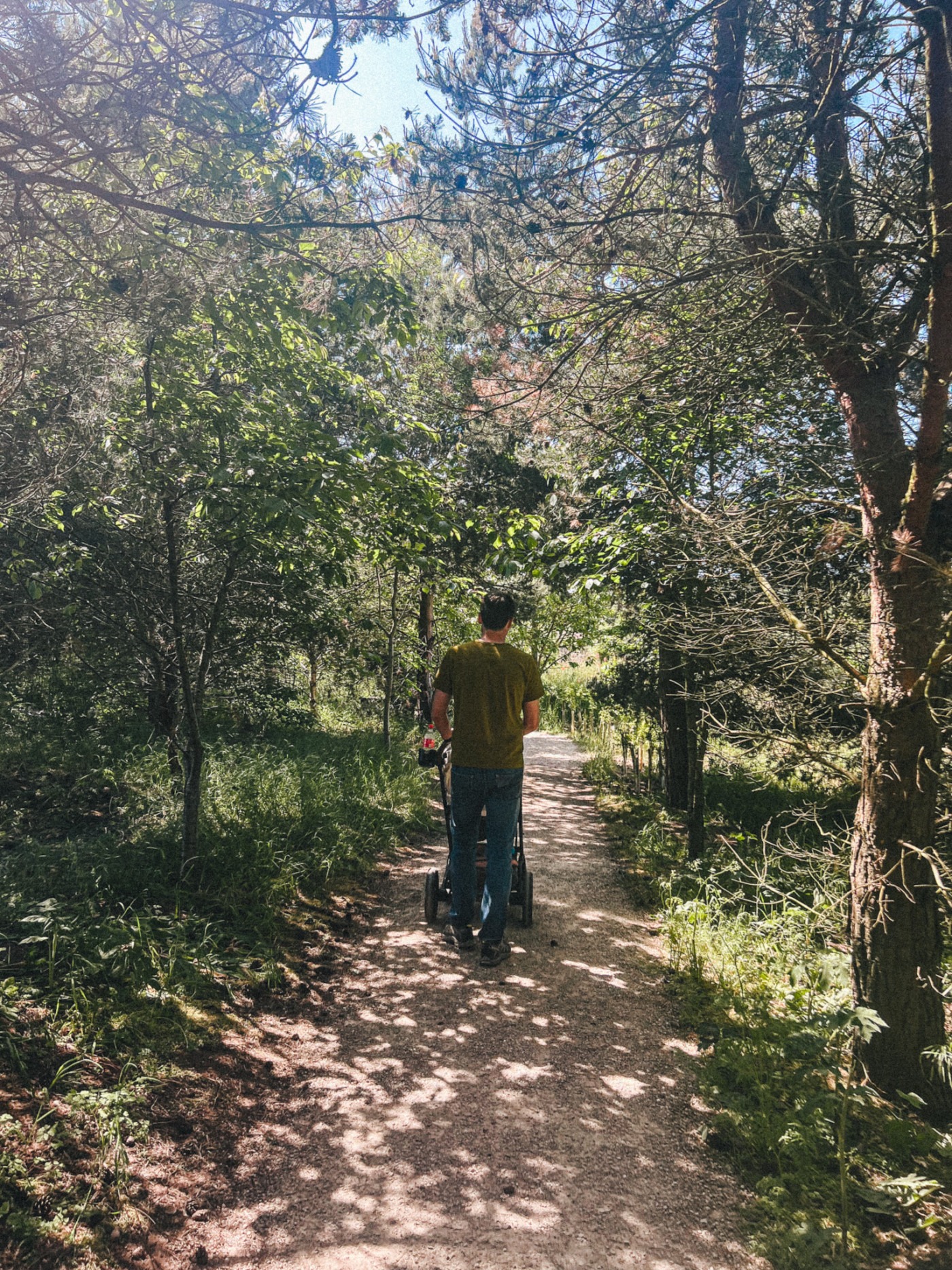 Nature walk at Woldies Lavender & Nature Farm - walking through the forest paths