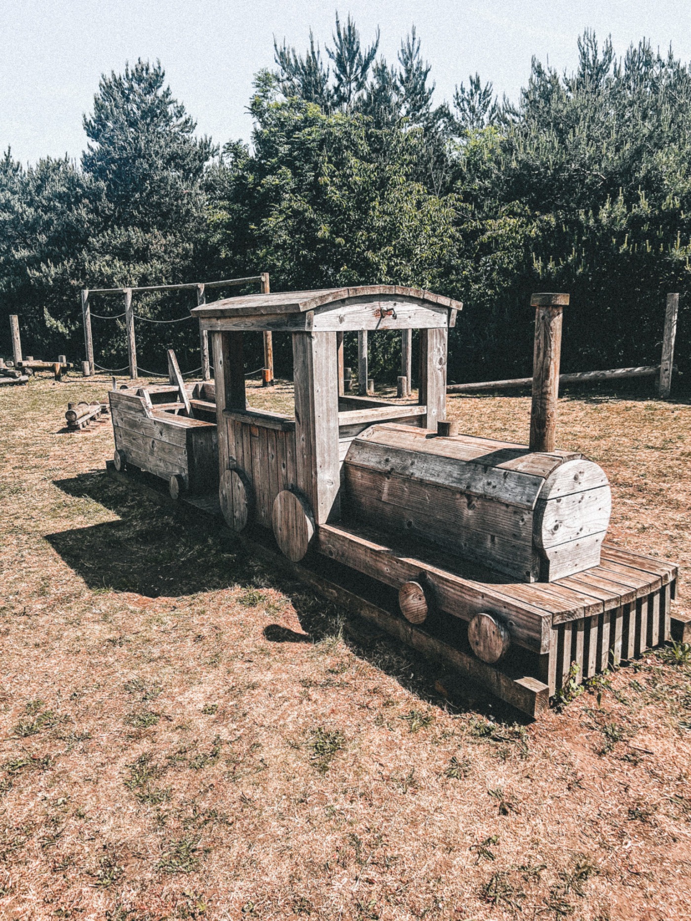 Play area at Woldies Lavender & Nature Farm - wooden train in the play area