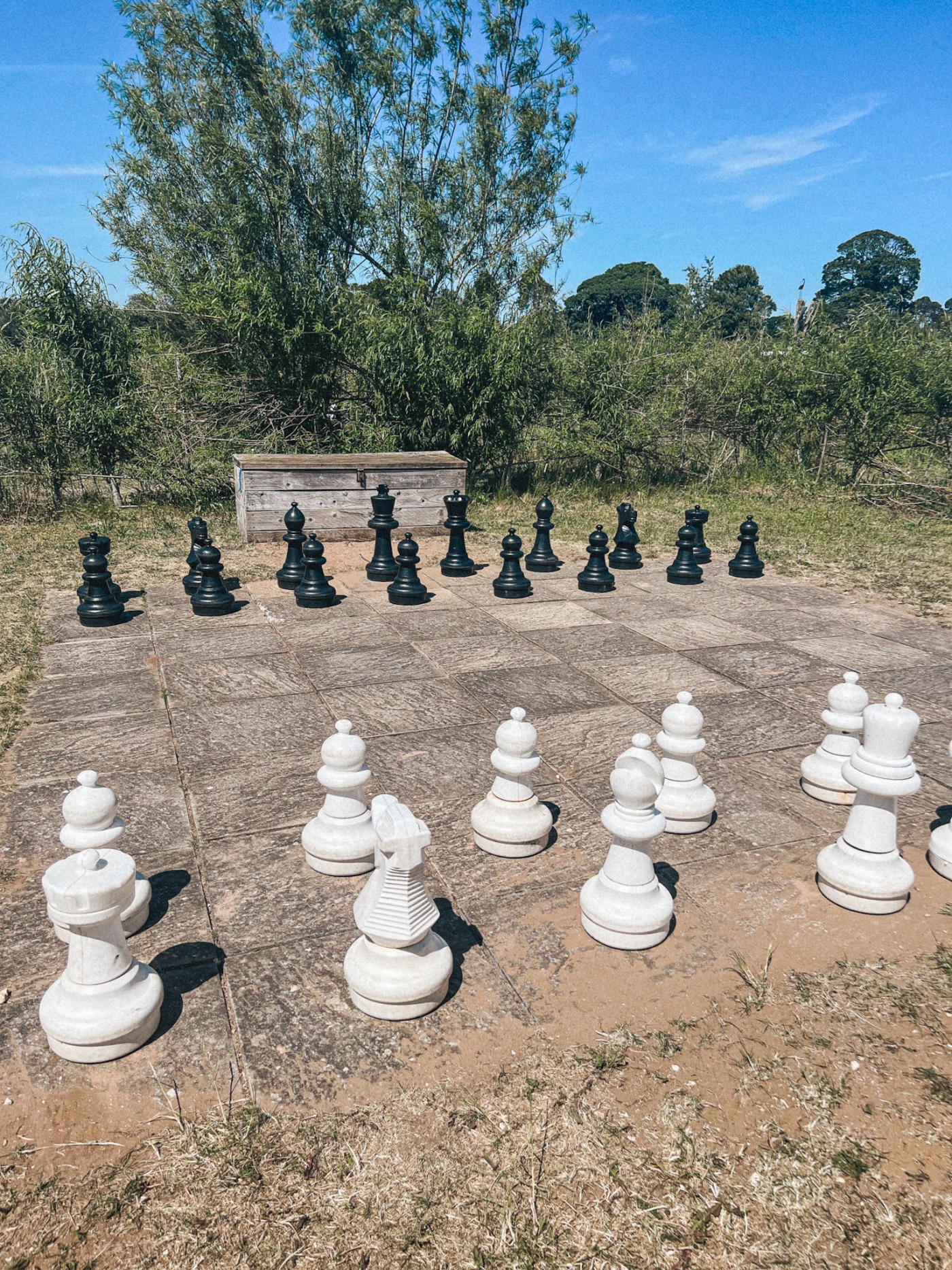 Giant Chess in Woldies Lavender & Nature Farm - big chess set