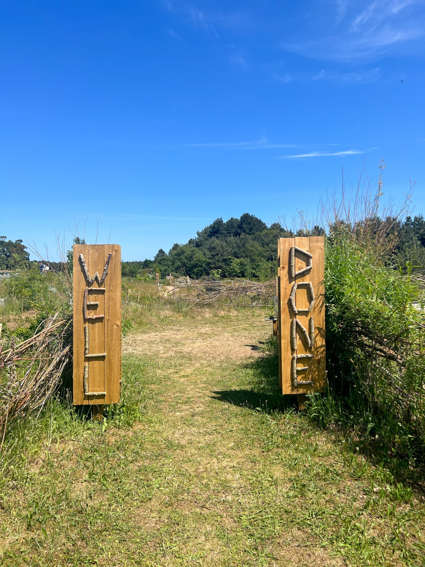 Maze Ending Woldies Lavender & Nature Farm