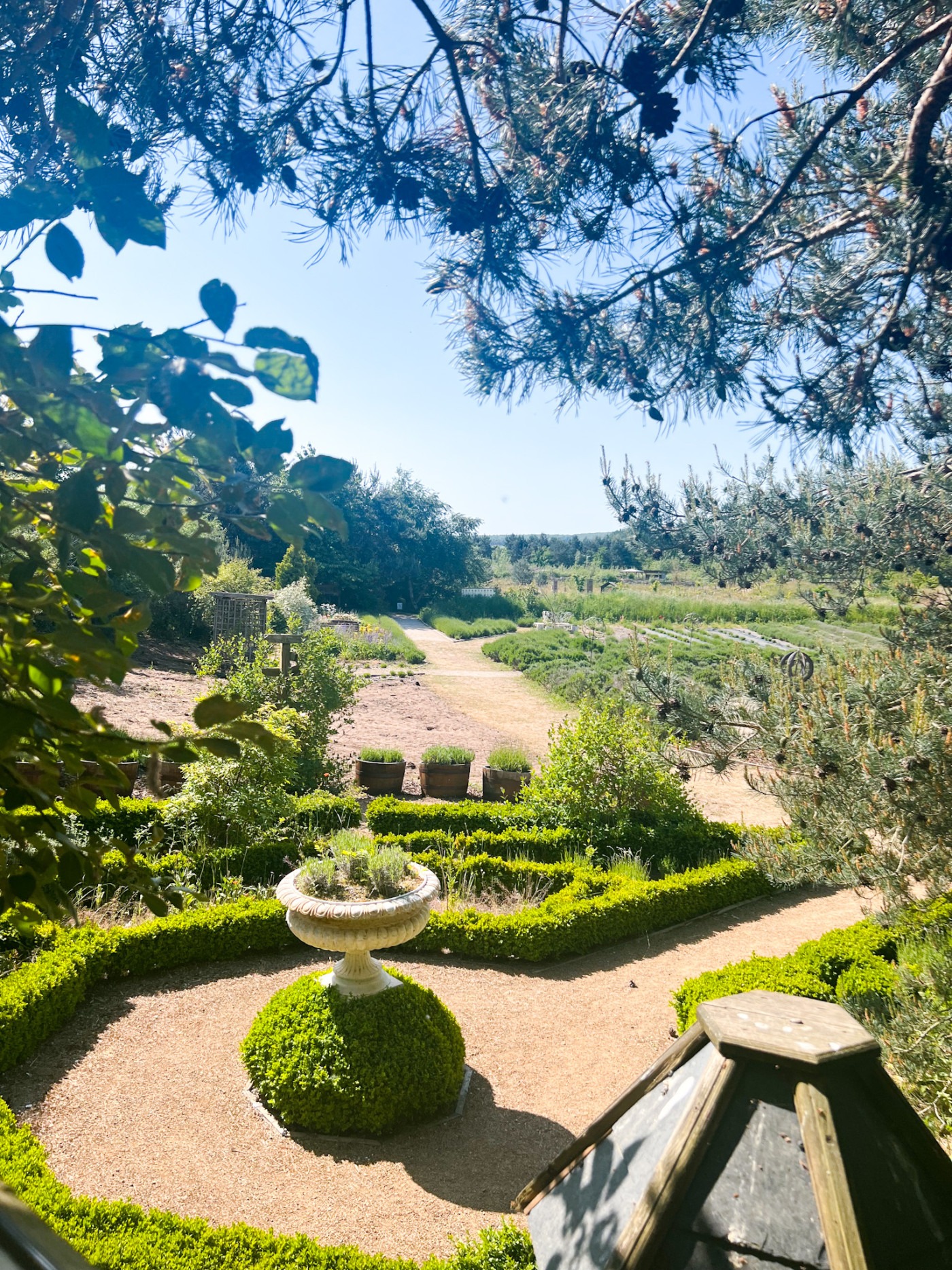 Woldies Lavender & Nature Farm view of the grounds