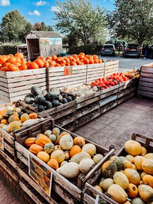 Halloween In North Yorkshire: The Best Events, Days Out & Spooky Spots