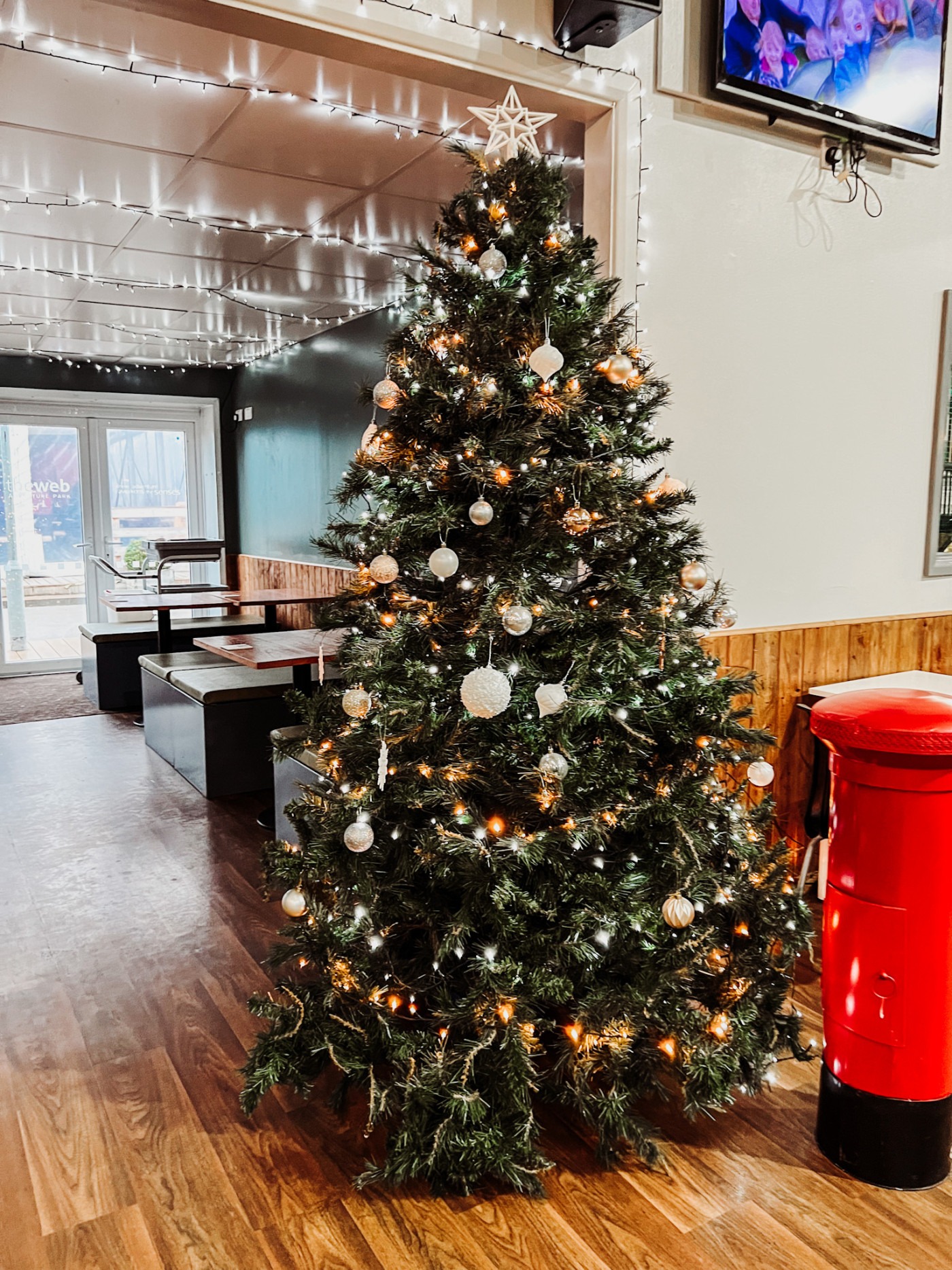 Toddle Into Christmas At The Web Adventure Park York