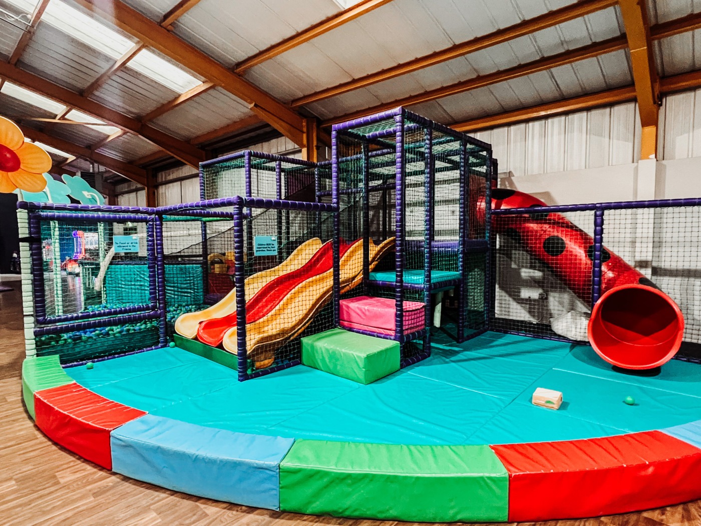 Toddle Into Christmas At The Web Adventure Park York