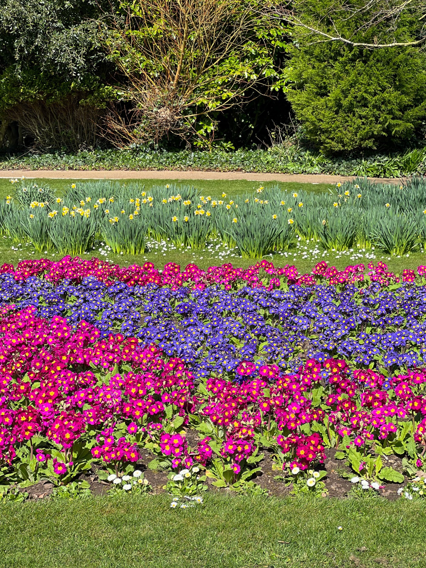 Brightly coloured seasonal flower beds in the walled gardens at Sewerby Hall