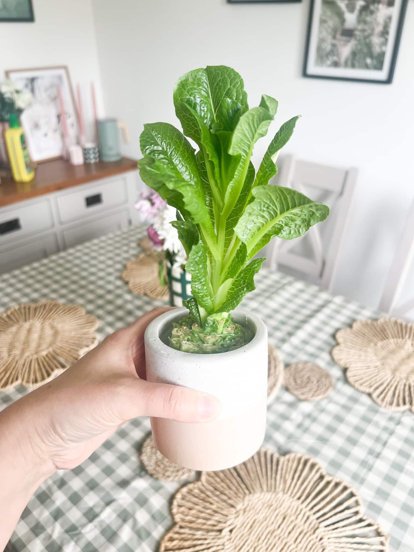  Kitchen Hacks For UK Homes