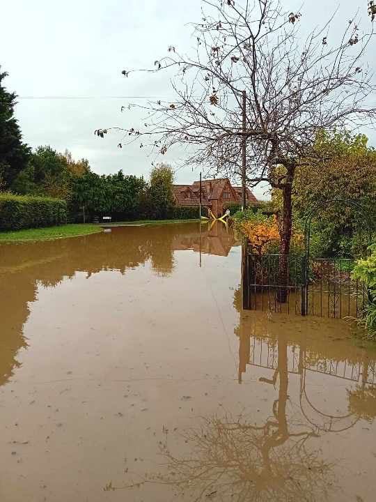 almost bought a flooded house