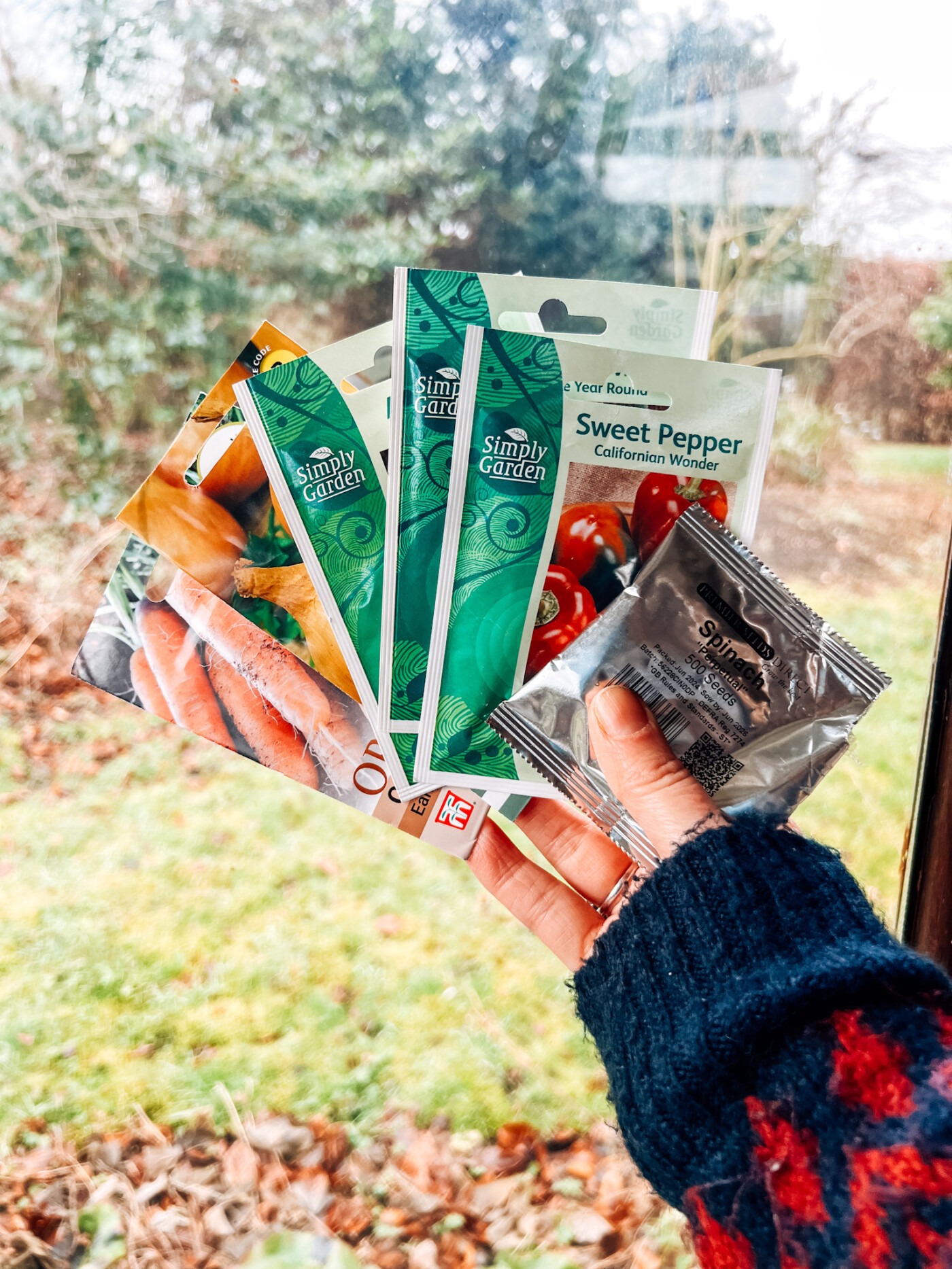 What seeds I'm sowing in Janaury