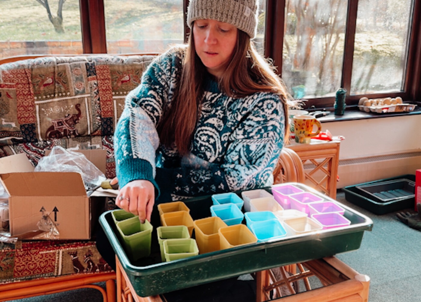 What Seeds I&rsquo;m Sowing In February