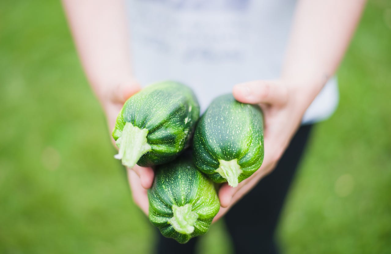 What Vegetables To Sow In April UK