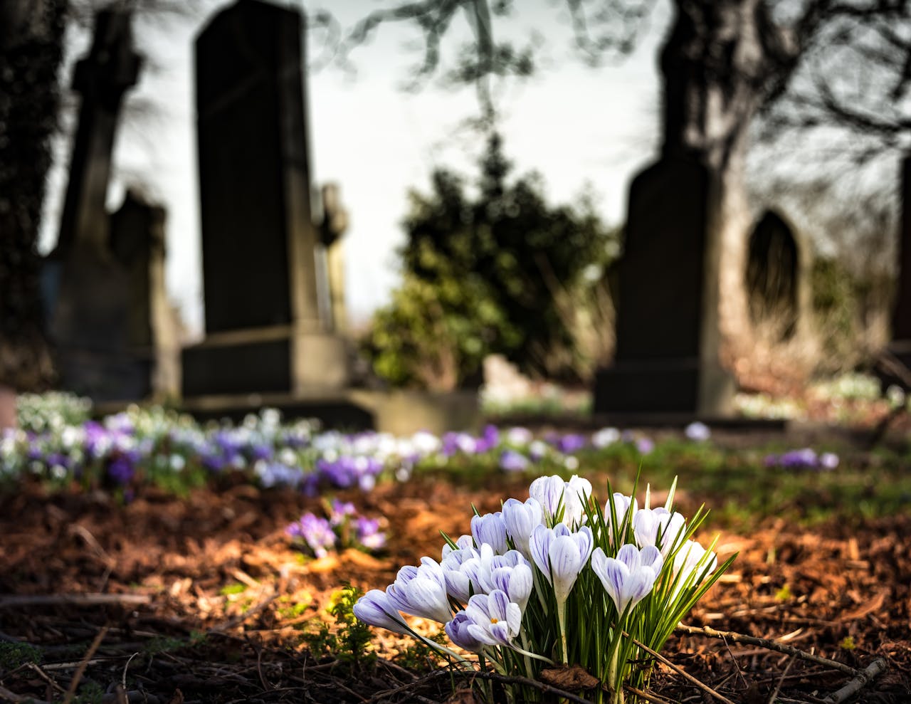 How Natural Burial Grounds Are Helping Preserve the Earth