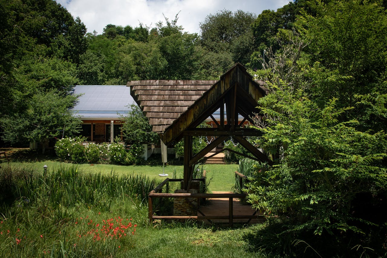 Why Your Dream Garden May Take Longer than You Think