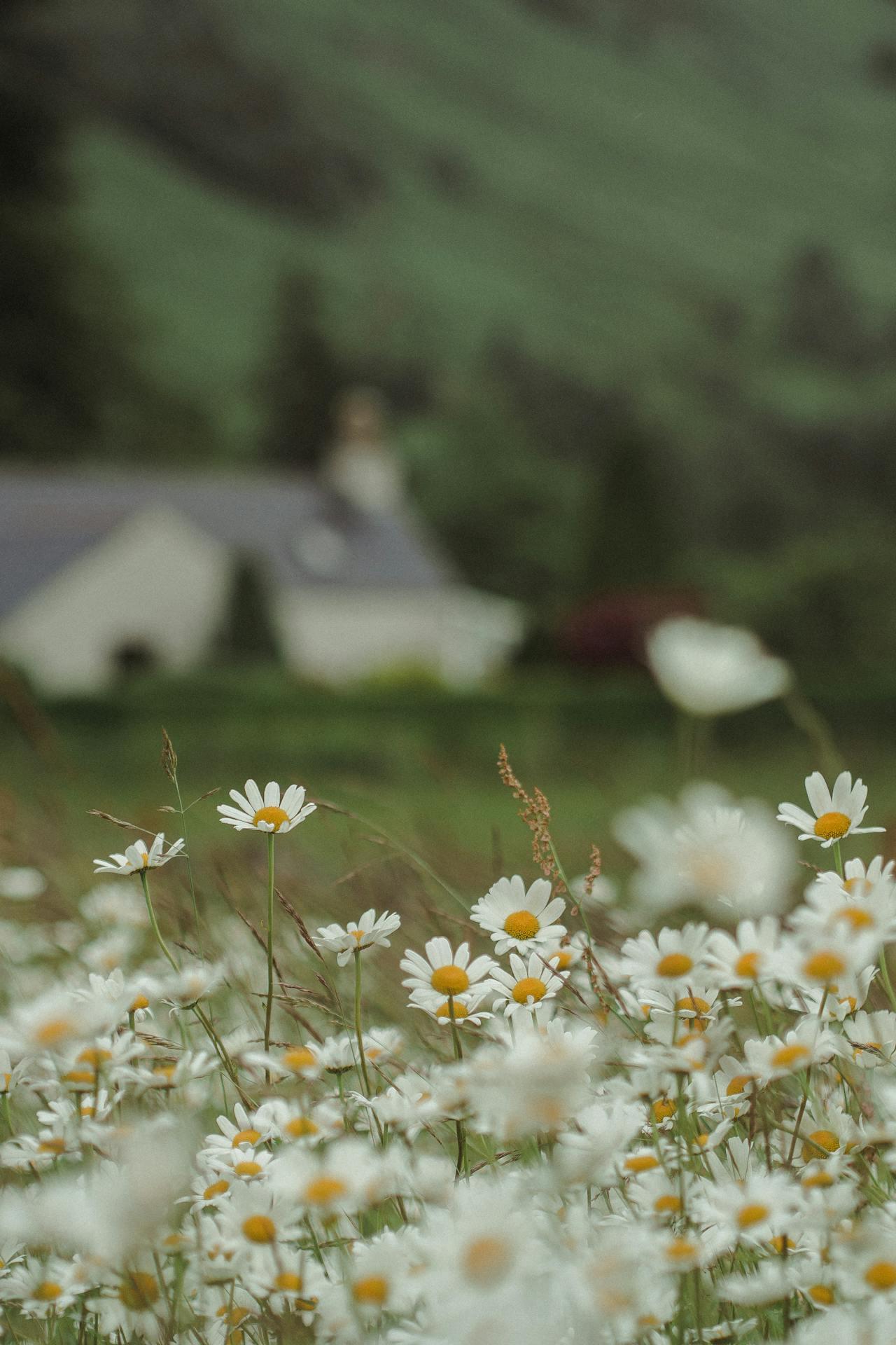 4 Back Garden Upgrades To Prepare Your Space For Warmer Weather
