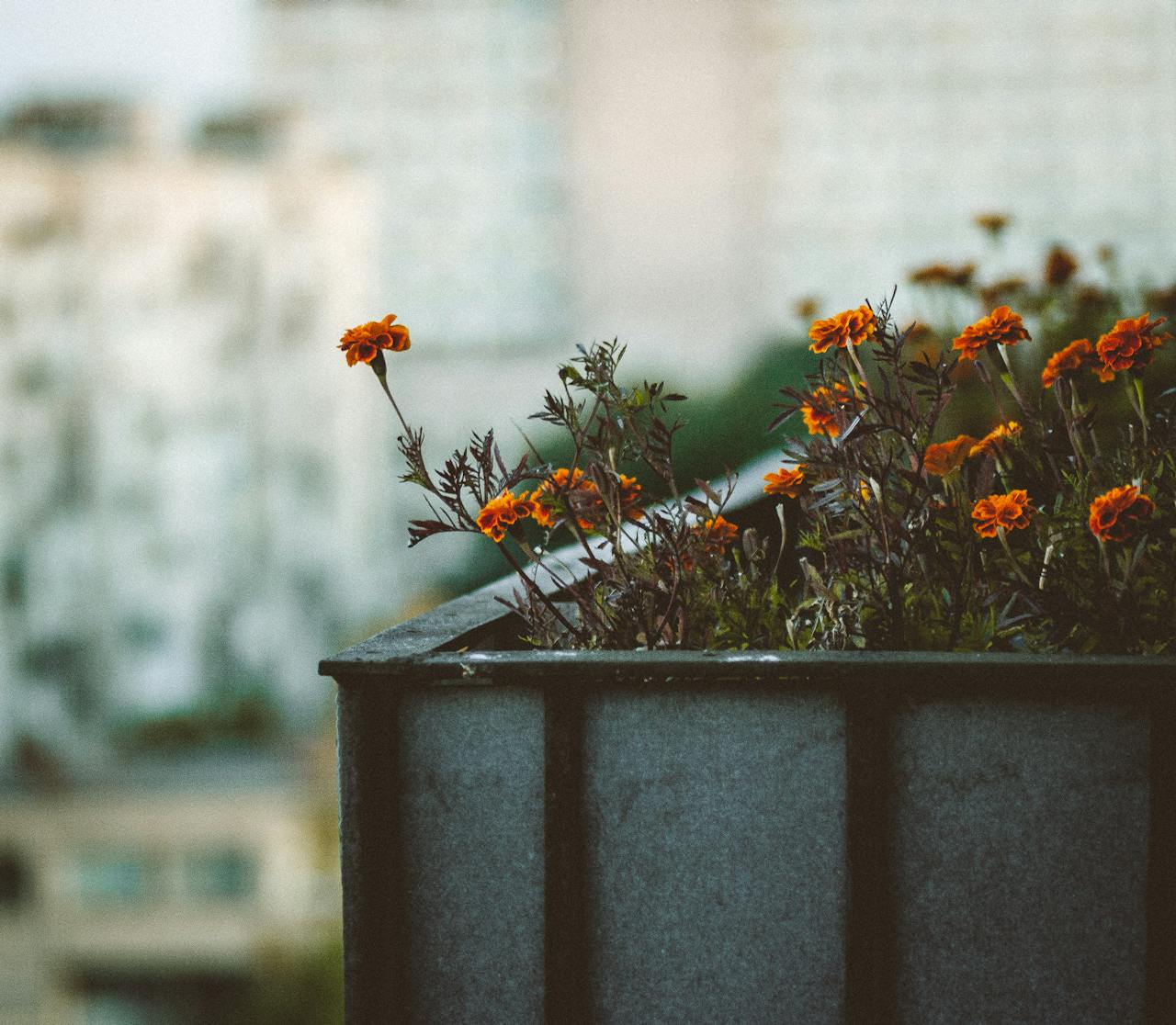 Low-Maintenance Living: The Smart Way to Upgrade Your Garden