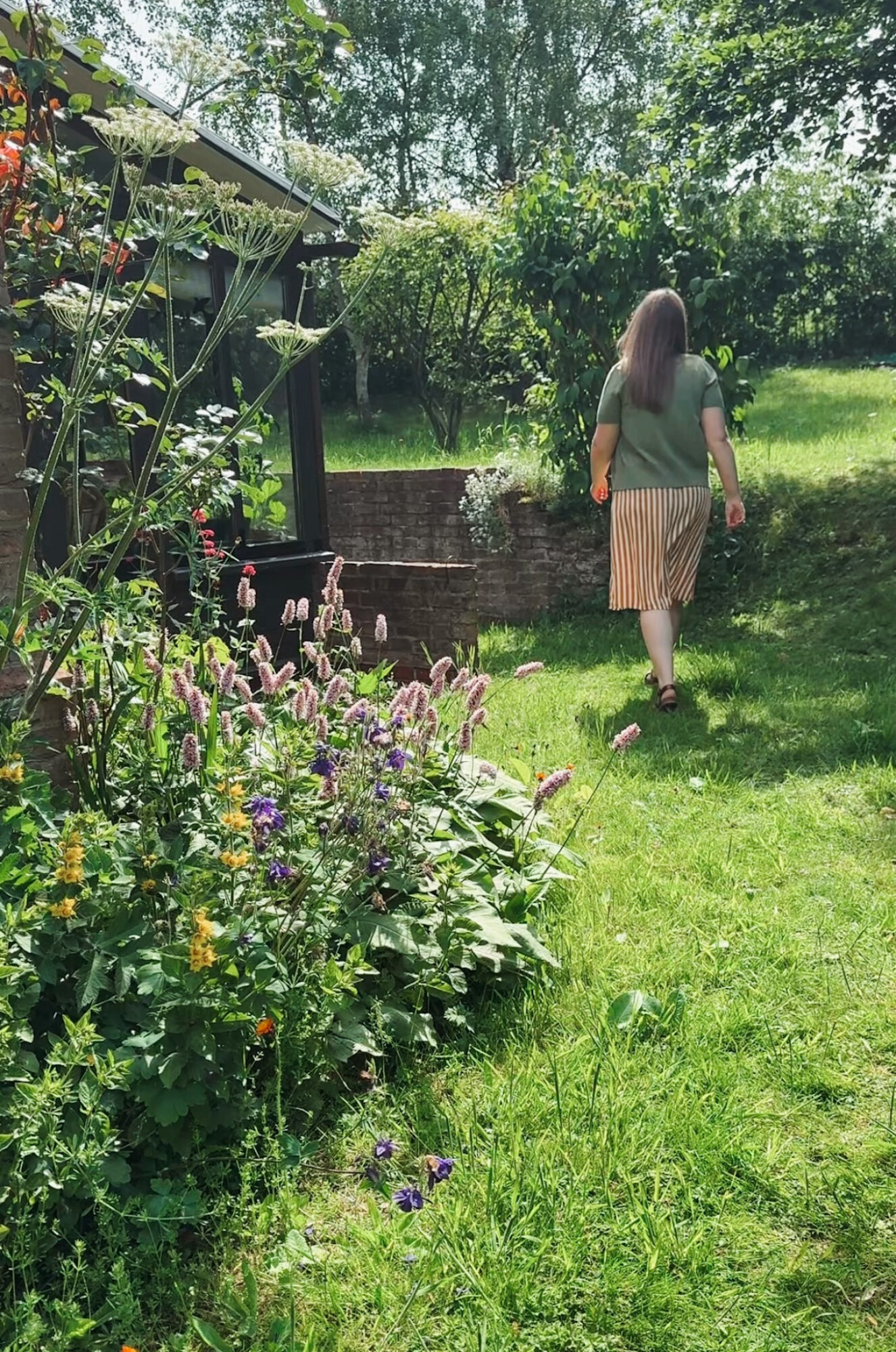 Top 10 Vegetable Seeds To Sow In June UK