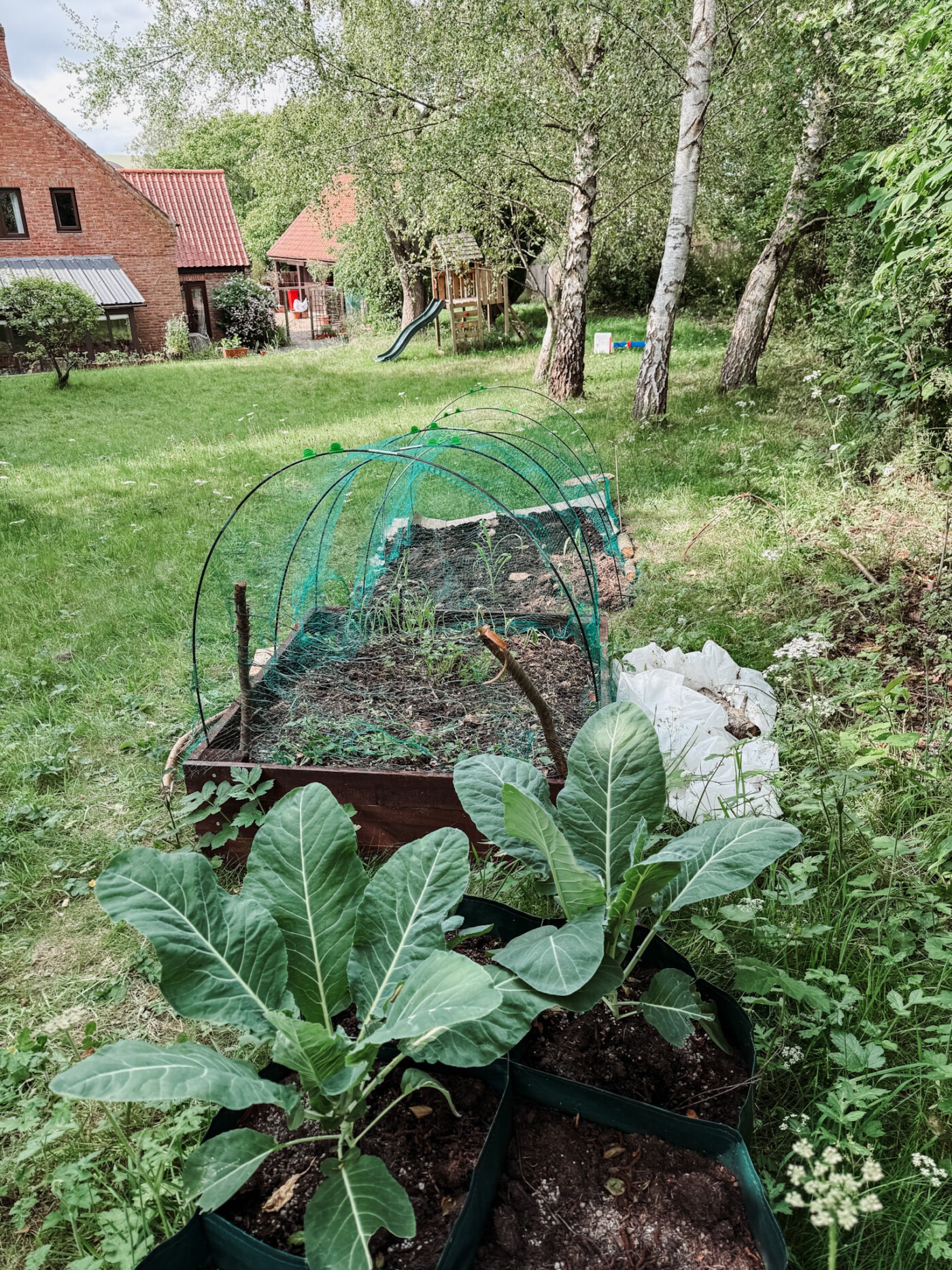 Top 10 Vegetable Seeds To Sow In June