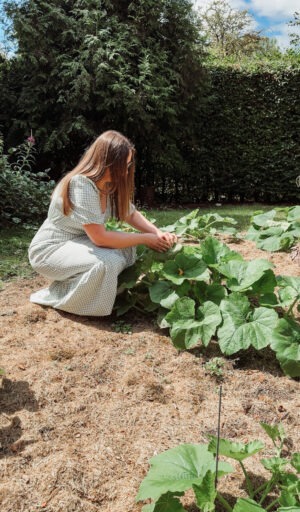 Growing My&nbsp;Own Pumpkin Patch&nbsp;In The UK