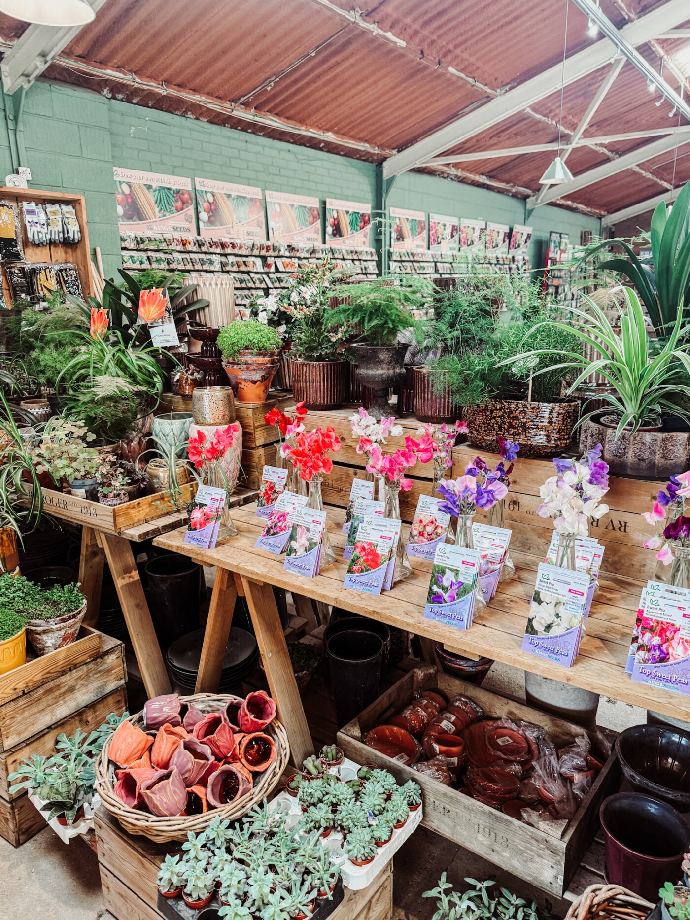 RV Roger Plant Nursery - Pickering