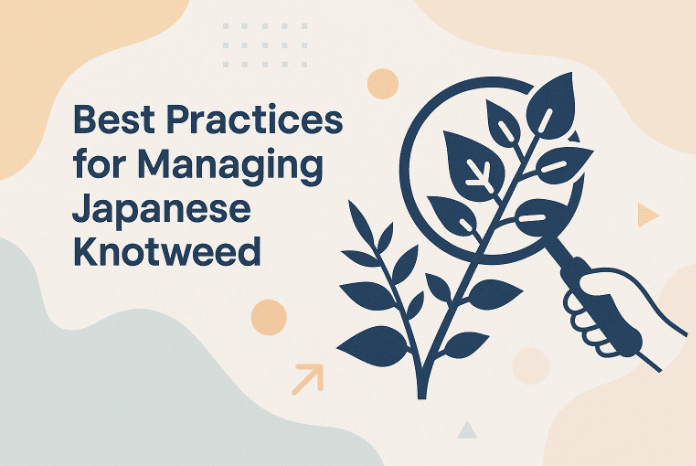 Japanese Knotweed
