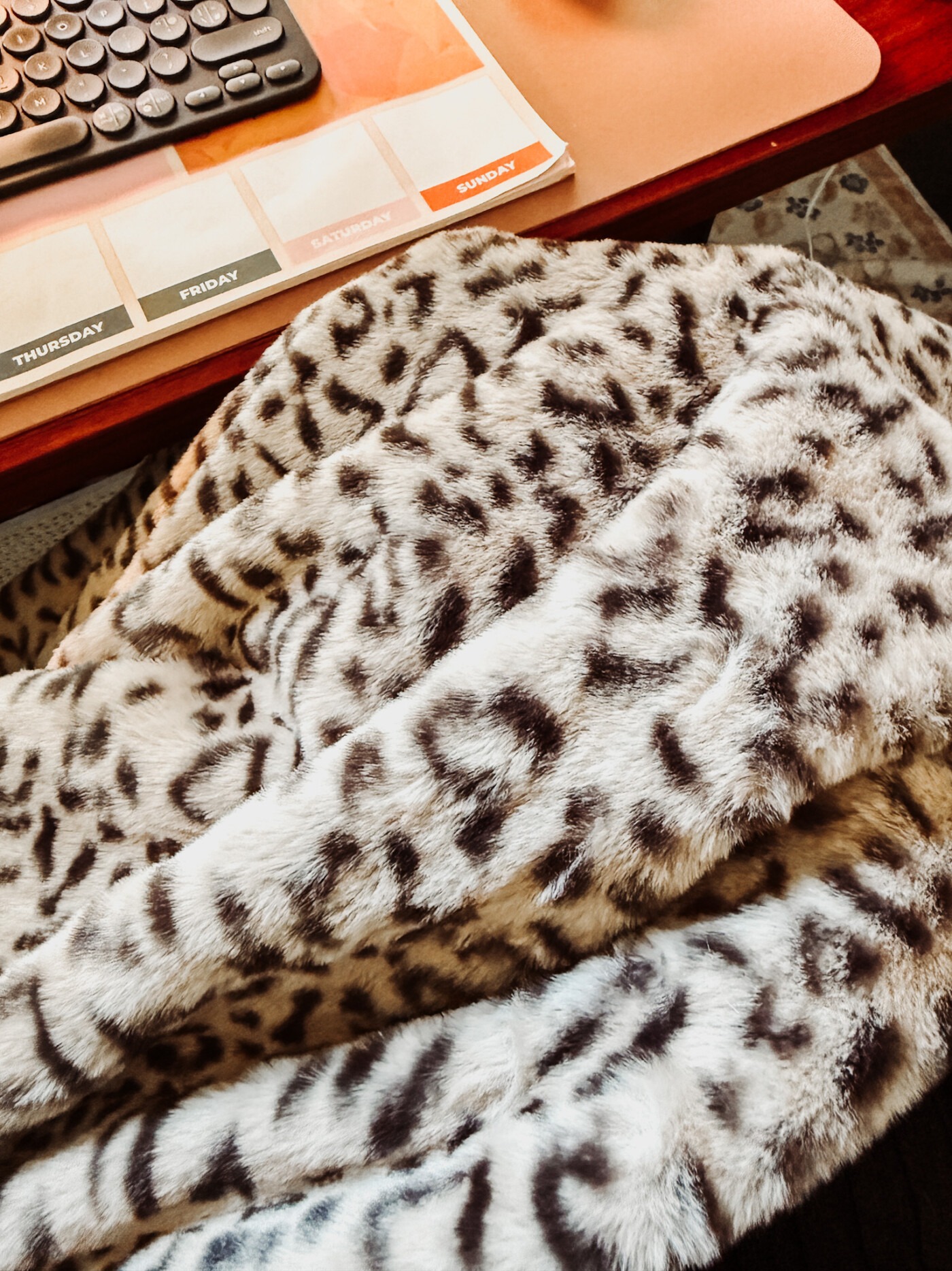 Carmen Heated Throw Review