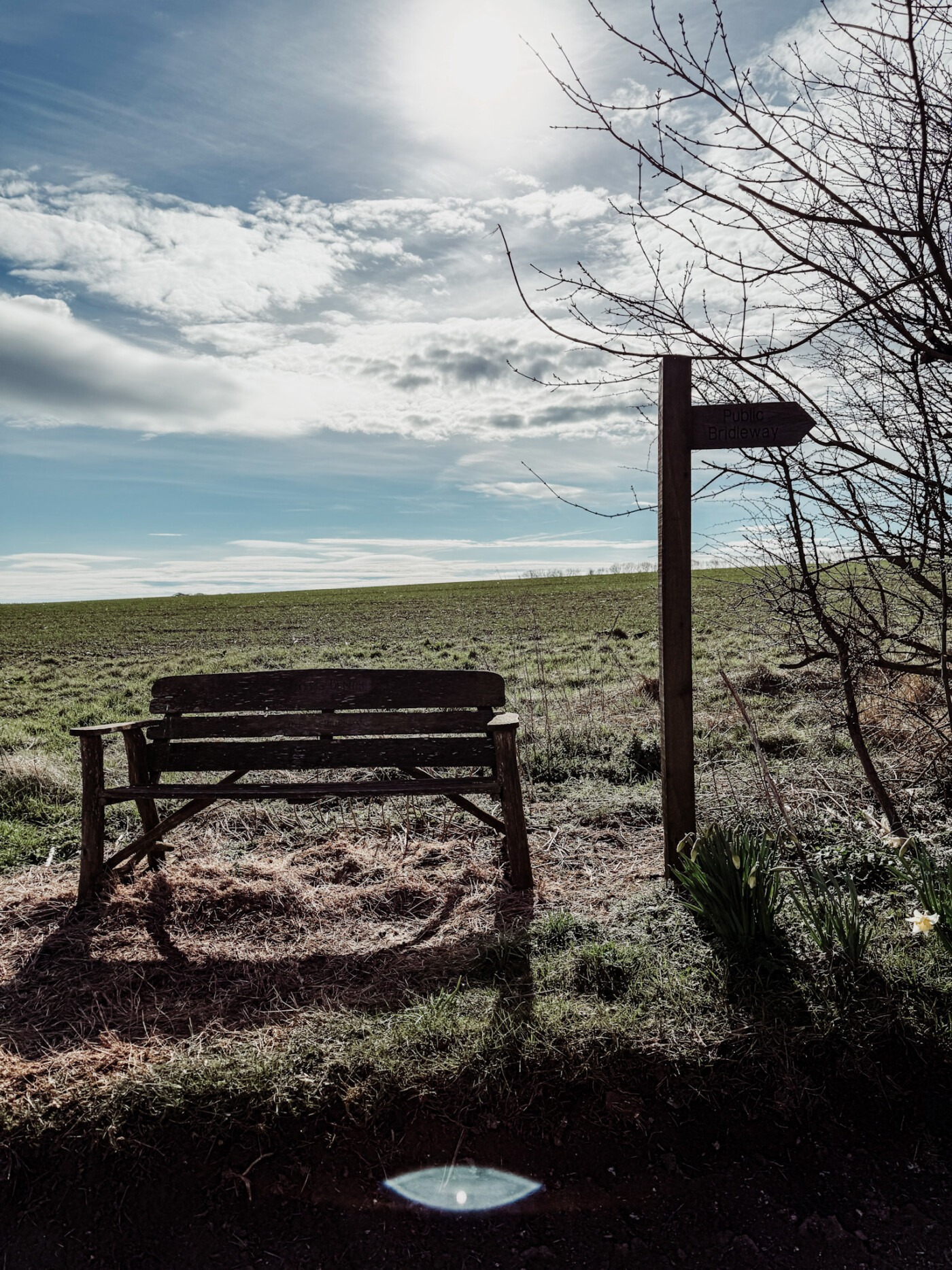 Wooden memorial bench known as Toby's Bench overlooking the rolling hills of the Yorkshire Wolds