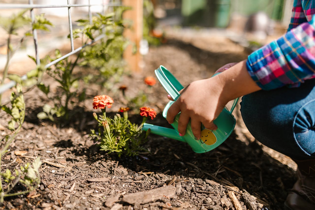 The Tiny Trouble Makers: How I Keep My Garden Safe from Russet Mites
