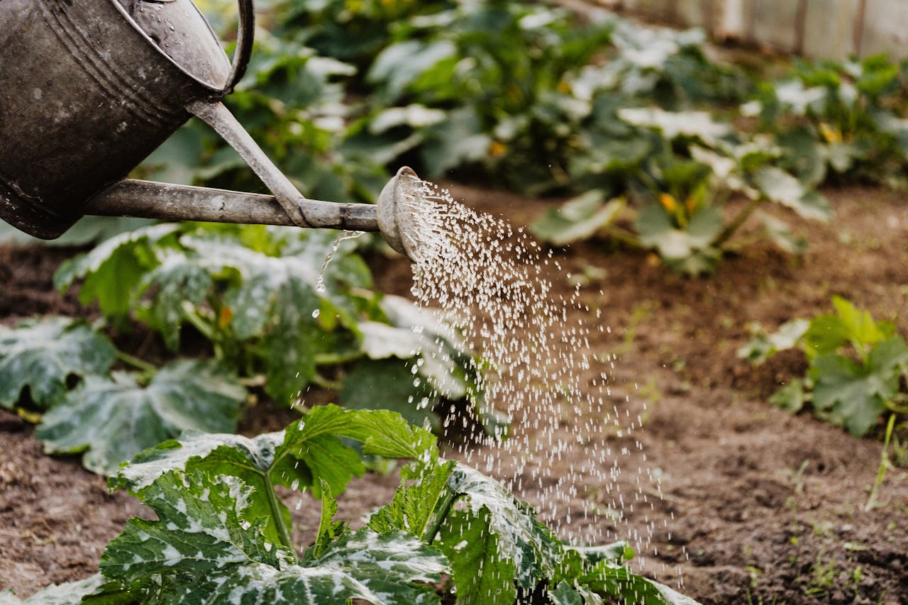 Garden Prep for the Coming Spring
