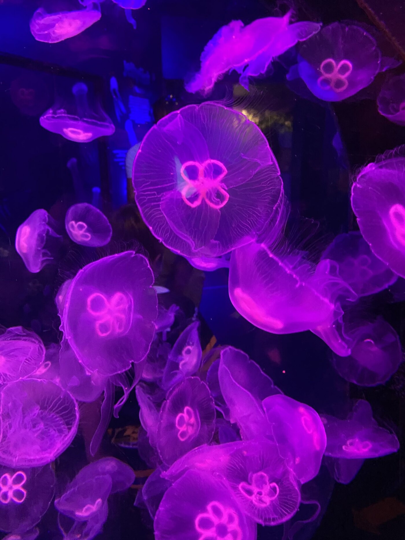 sea life centre
