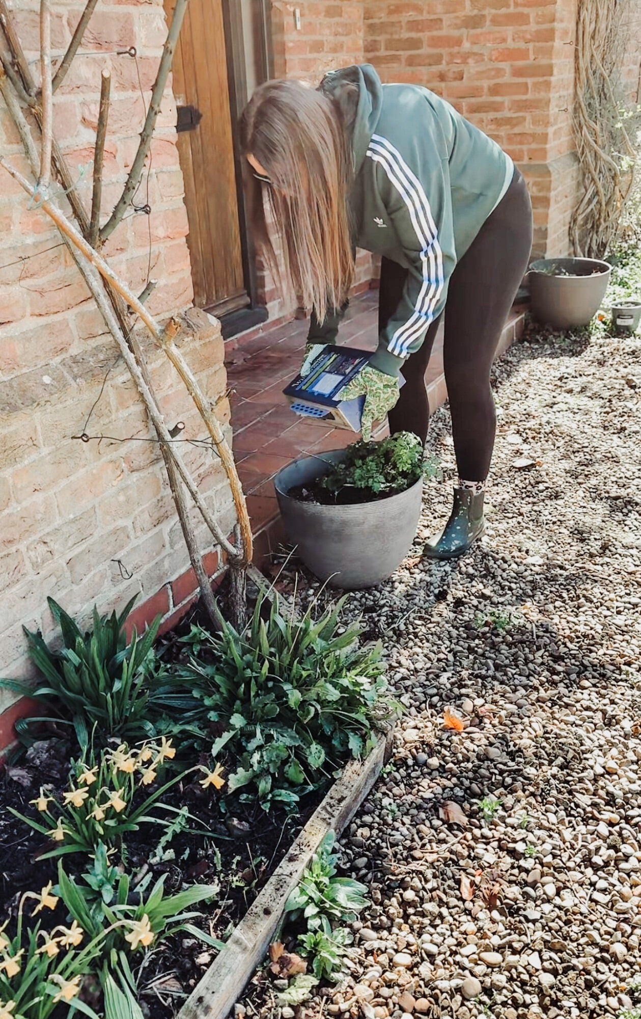 sprinkling wildflowers into pots