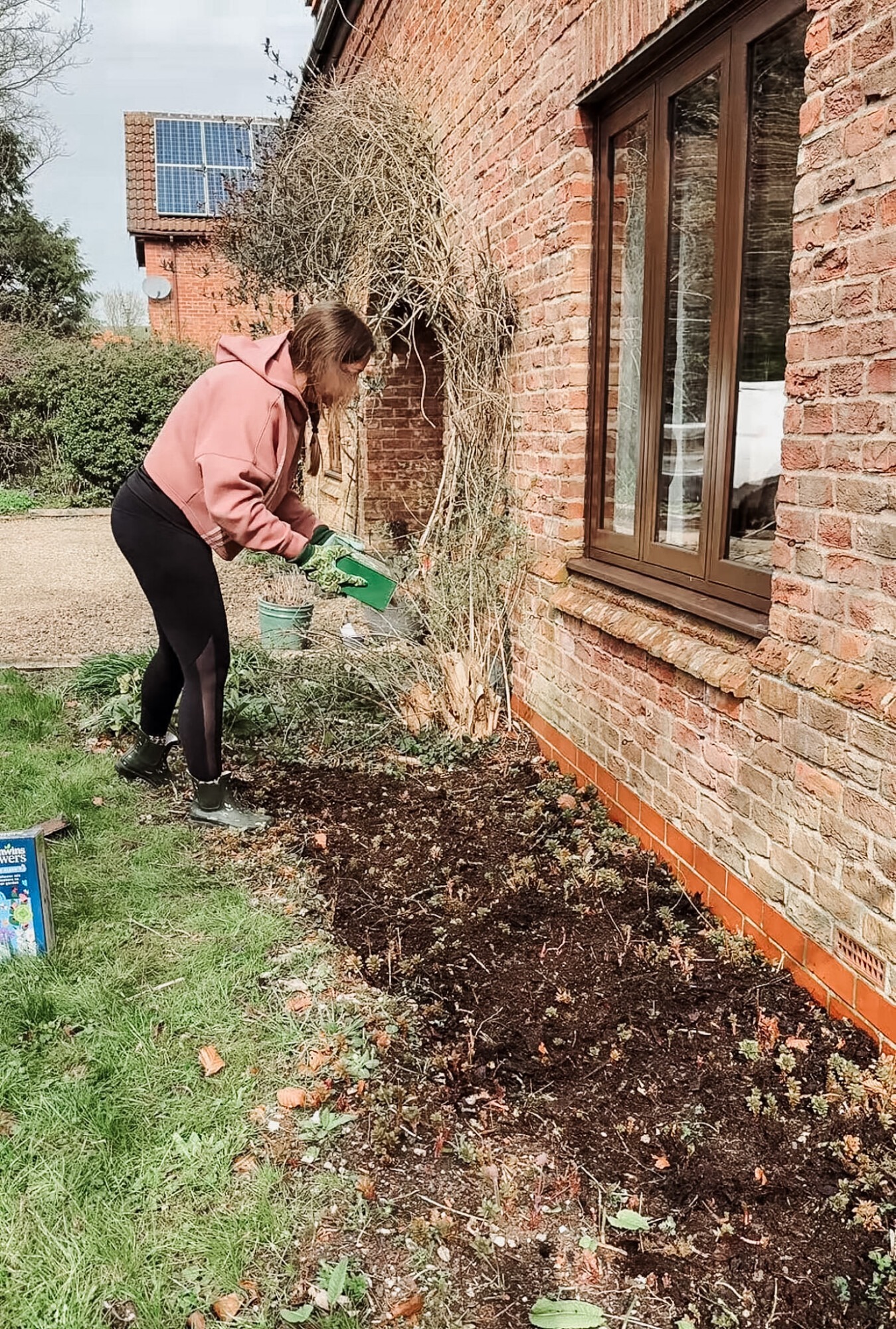 Scattering wildflower seeds into a garden border in early spring