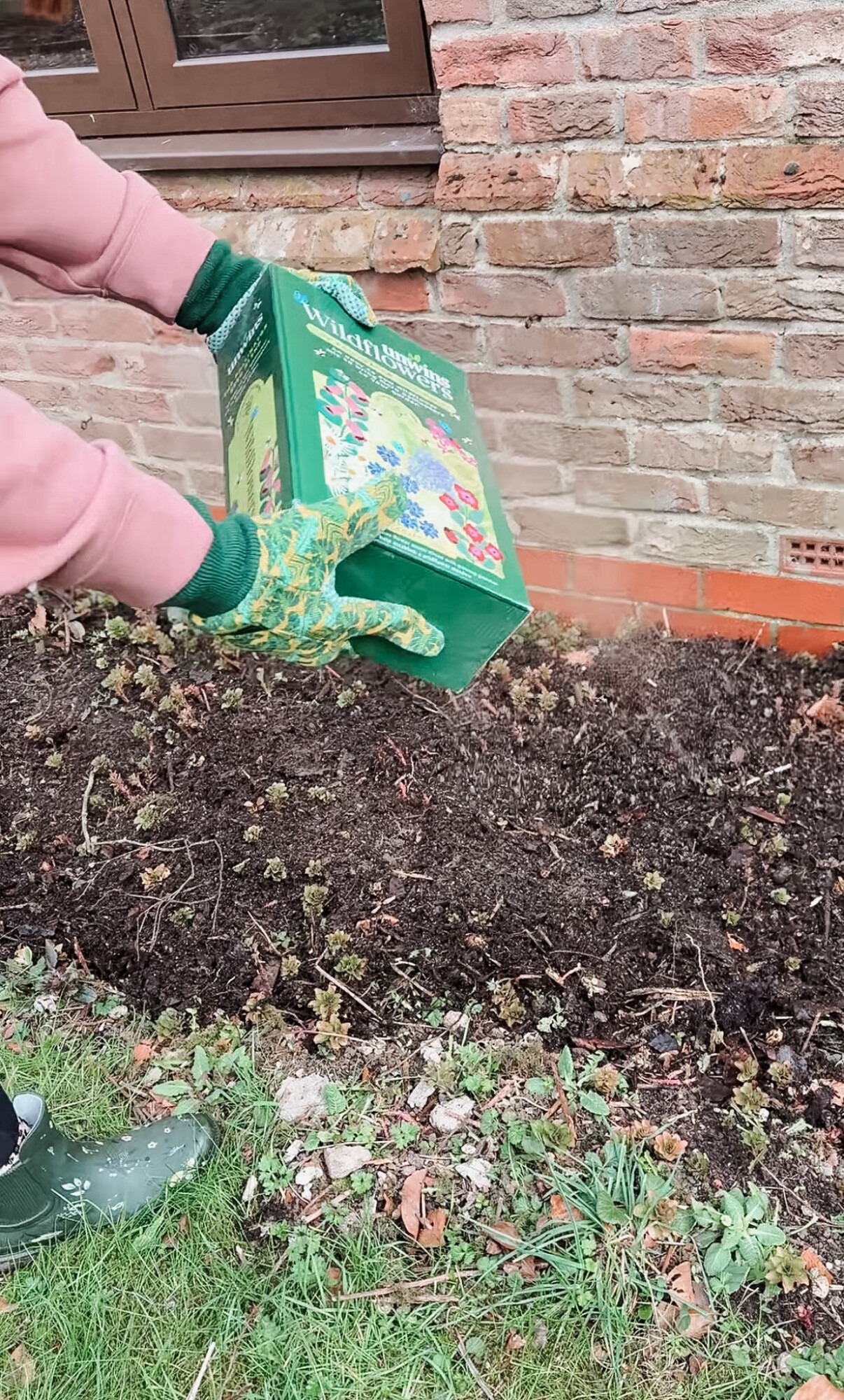 Scattering Unwins wildflower seeds into a garden border by hand in early spring