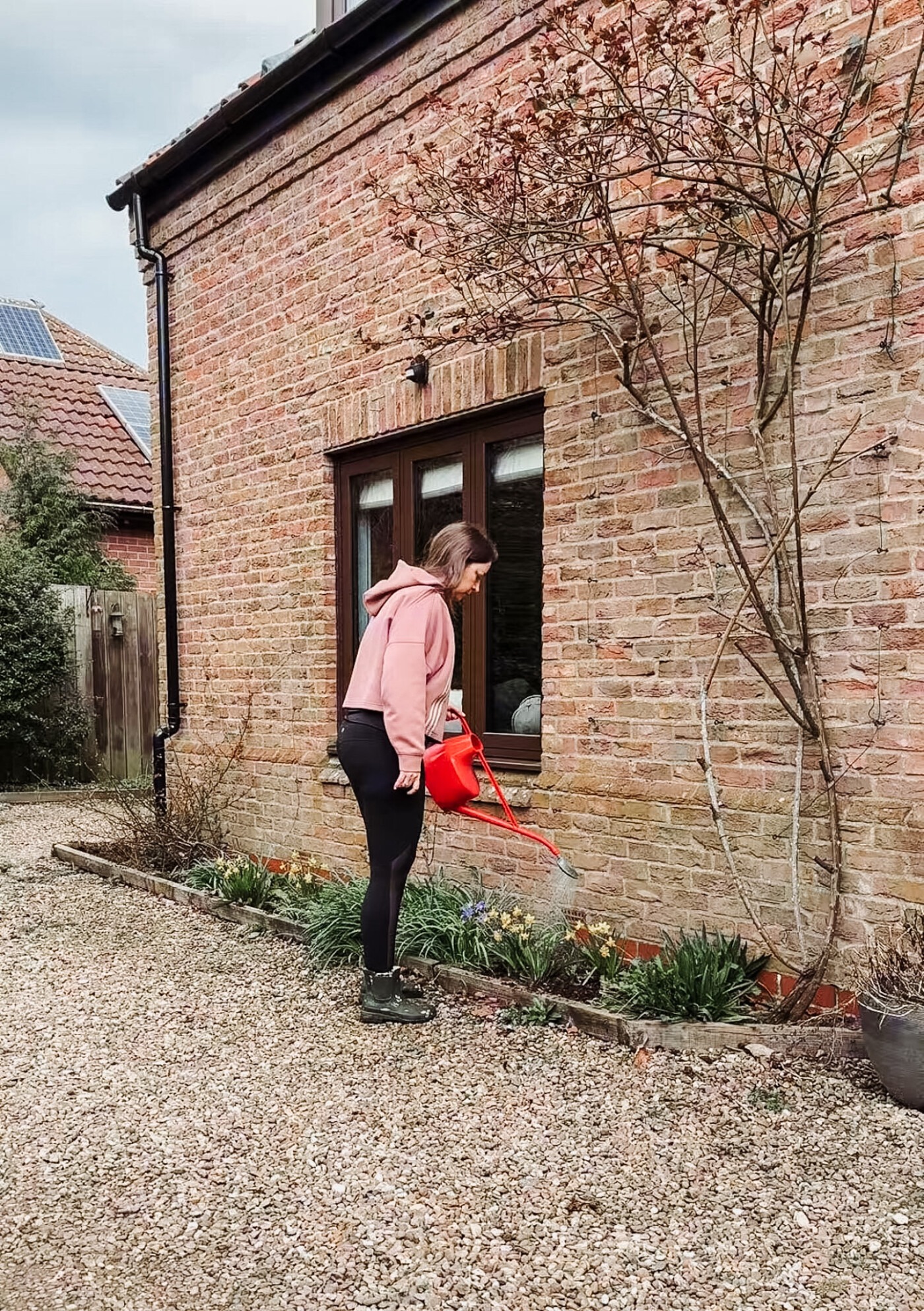 Watering in wildflower seeds in a garden border after planting in early spring