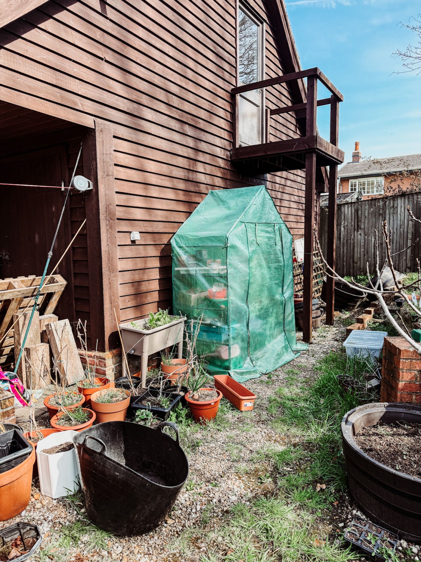 messy neglected container garden after winter