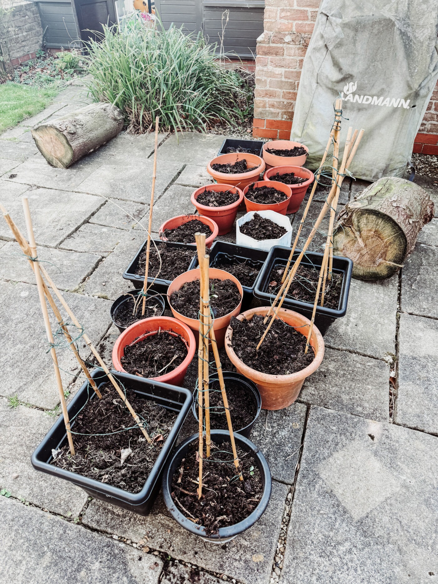 pots ready to be used