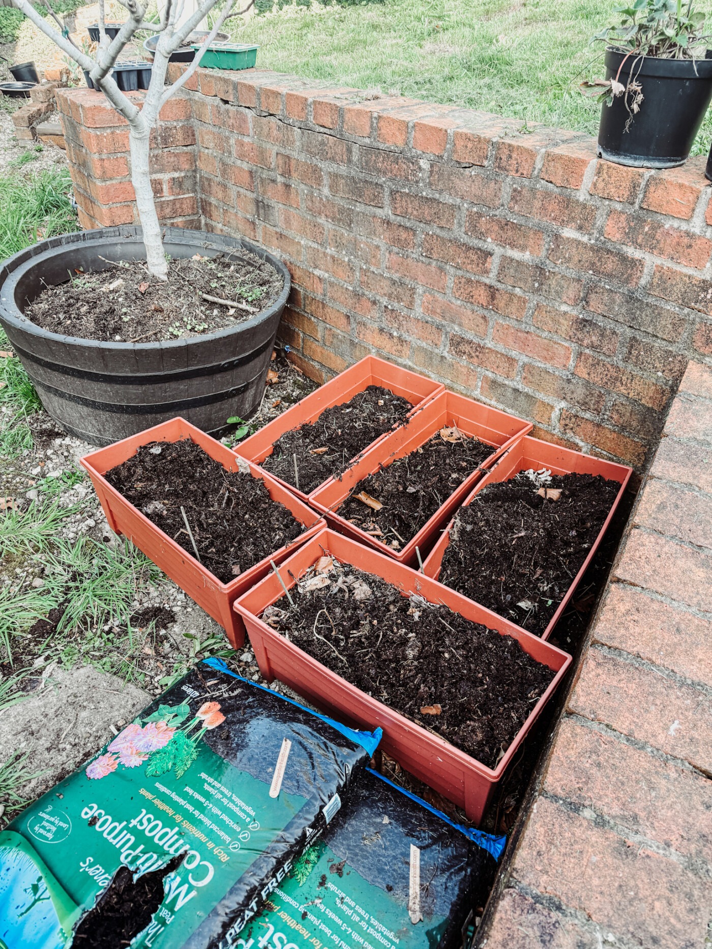 Container garden