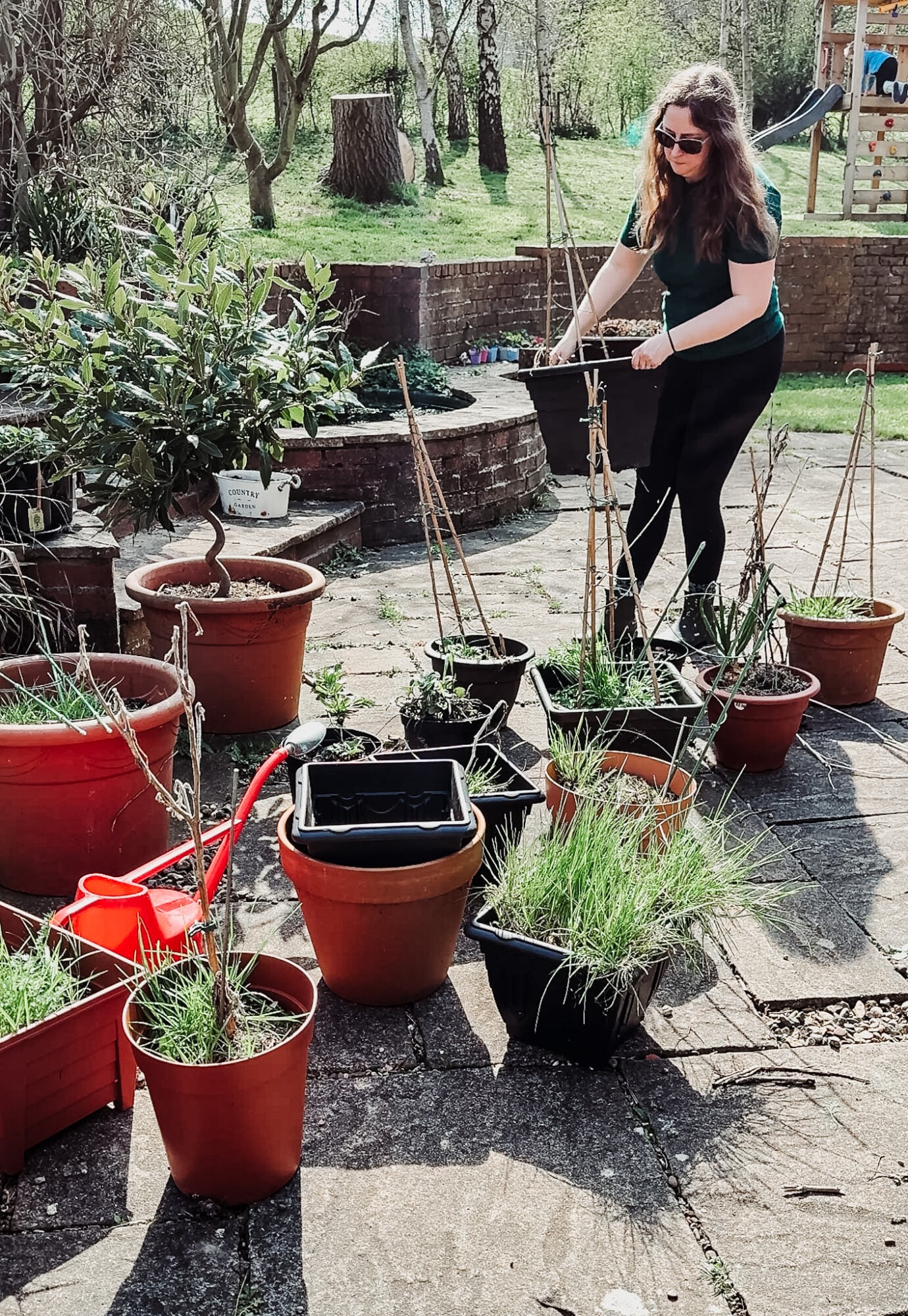 sorting out plant pots