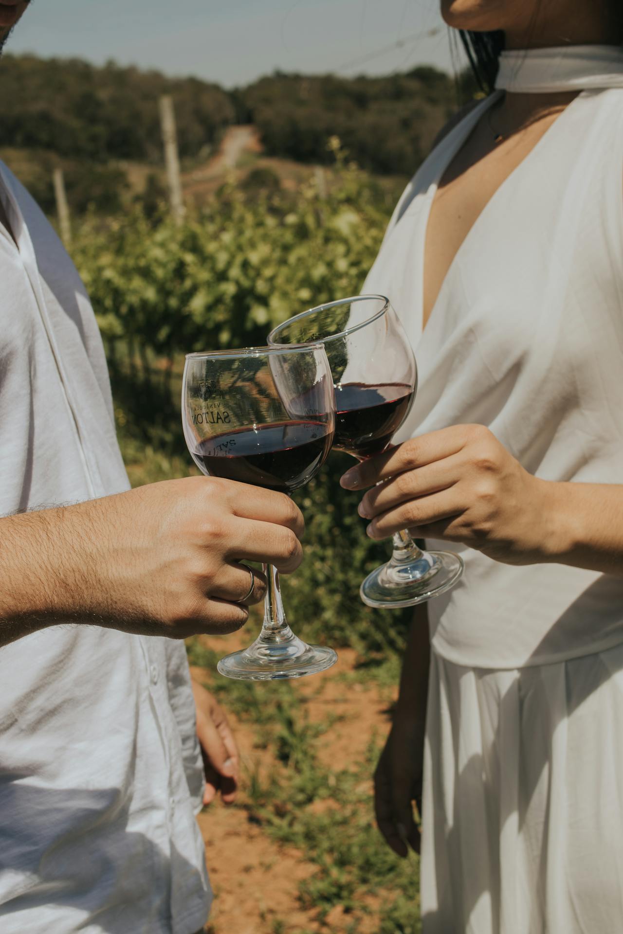 Top 5 Reasons a Private Wine Tour in Sonoma Shines