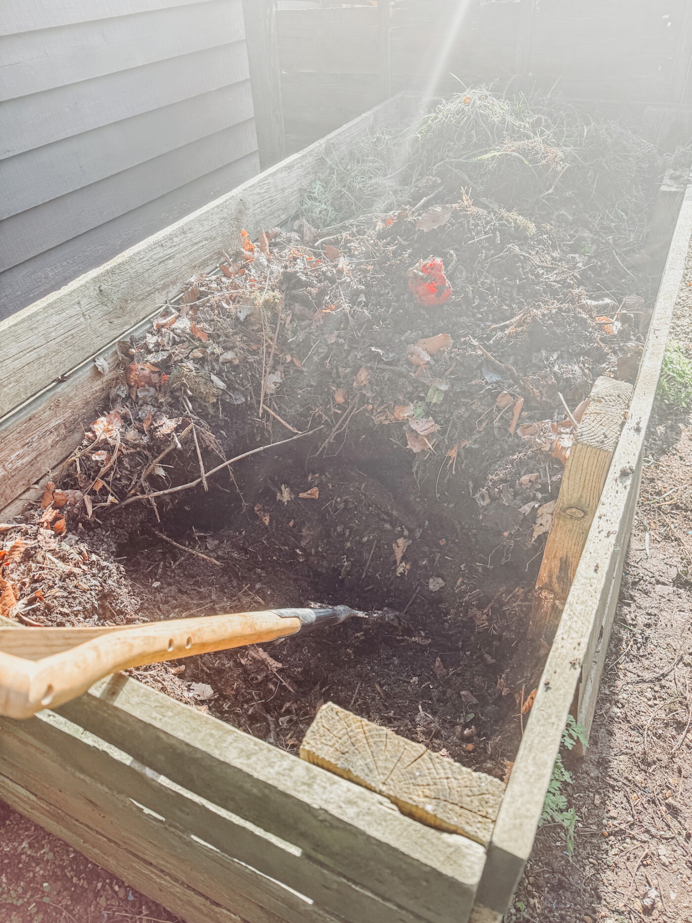 compost heap