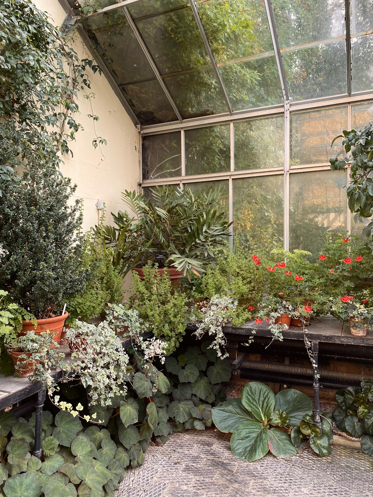 How to Move to a More Sustainable Garden This Summer